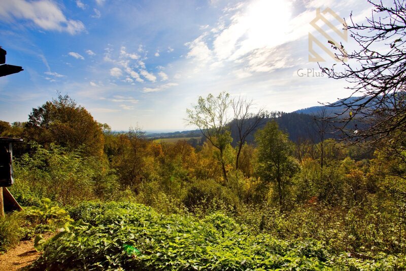 Prodej,Rodinný dům, se zahradou 466m2, Levín