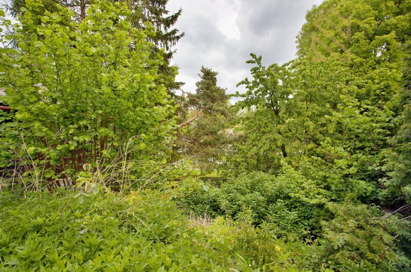 Prodej, chalupy, 91m2 zahrada 677m2, Dubá, Česká Lípa
