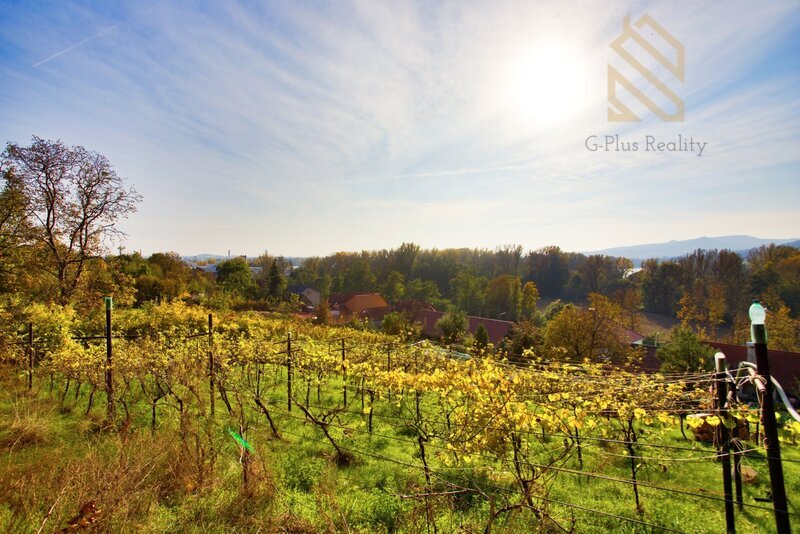 Prodej, rodinný dům, 4761m2, Velké Žernoseky