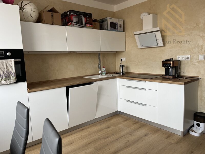 Prodej, Byt 1+1, 36m2, Teplice - Trnovany ul.Julia Payera