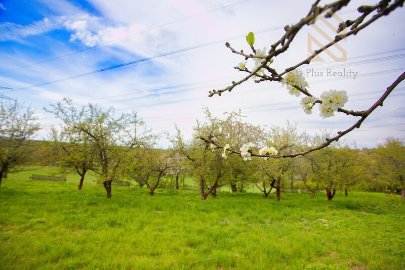 Prodej pozemku 2370 m², Smolnice u Loun