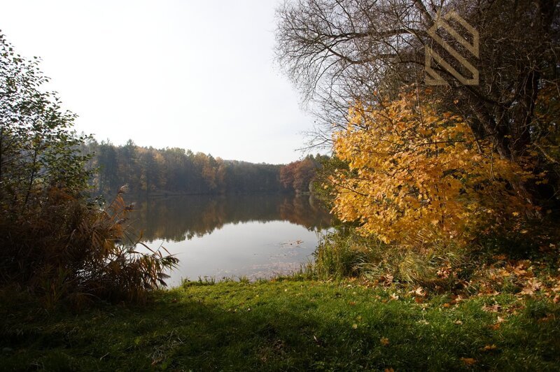 Prodej, chaty, Bílichov