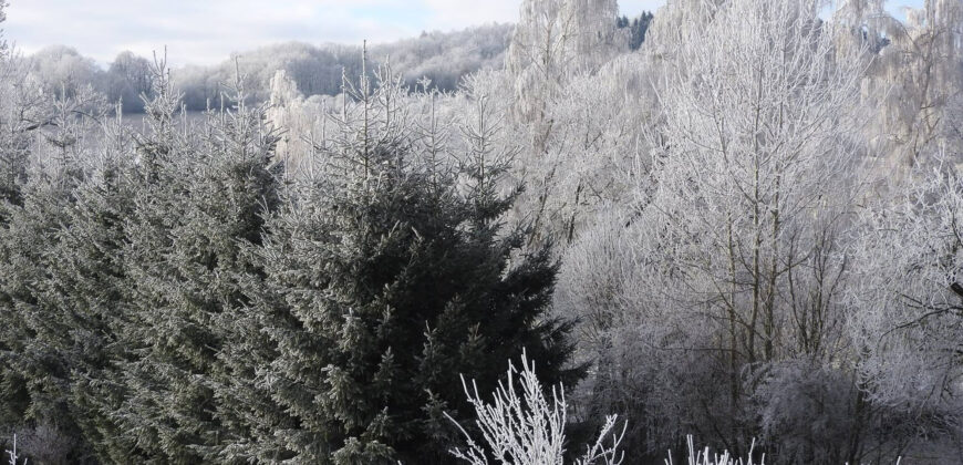 Vícegenerační rodinný dům – Verneřice